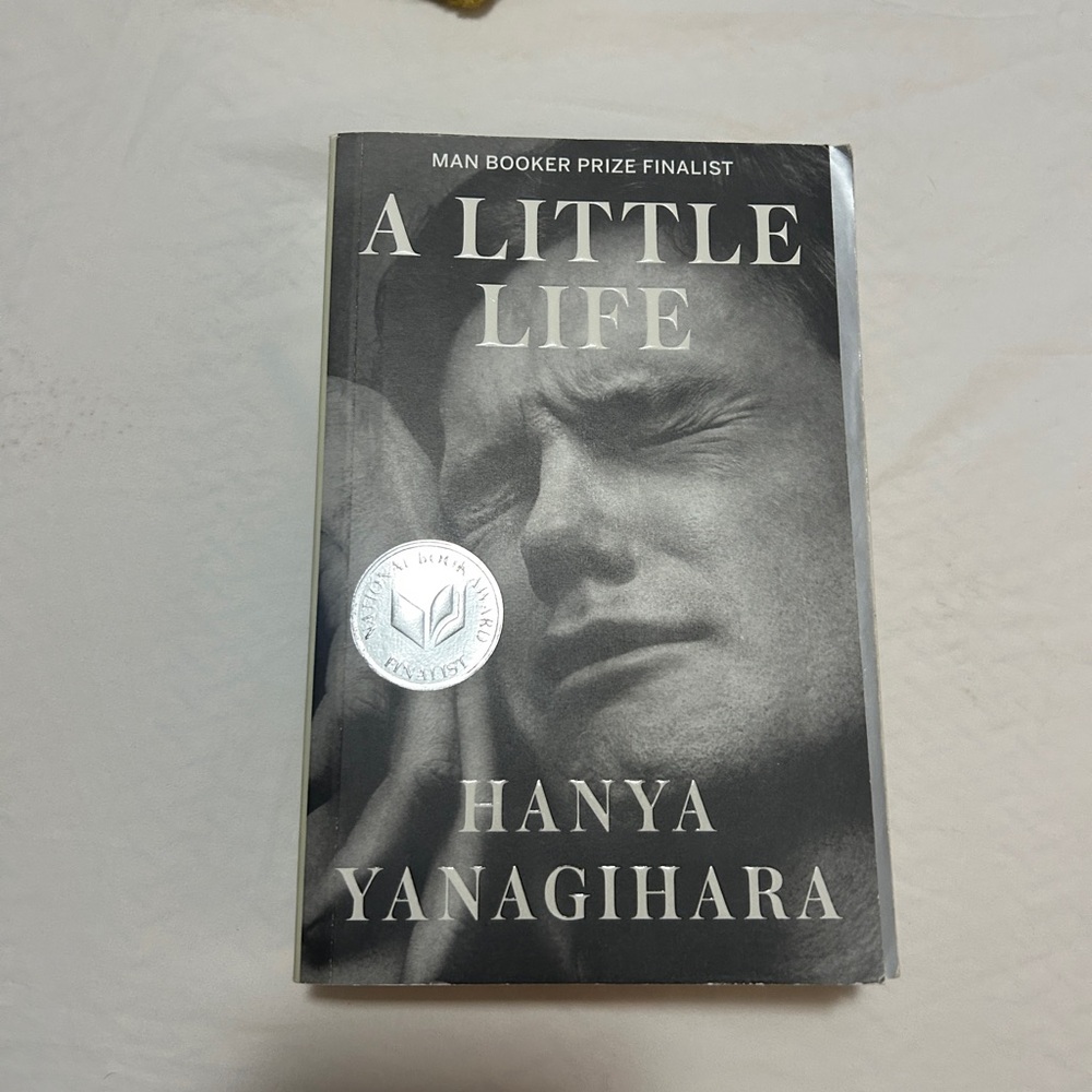 A Little Life Book by Hanya Yanagihara